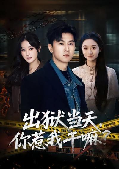 出獄當(dāng)天，你惹我干嘛？(全集)