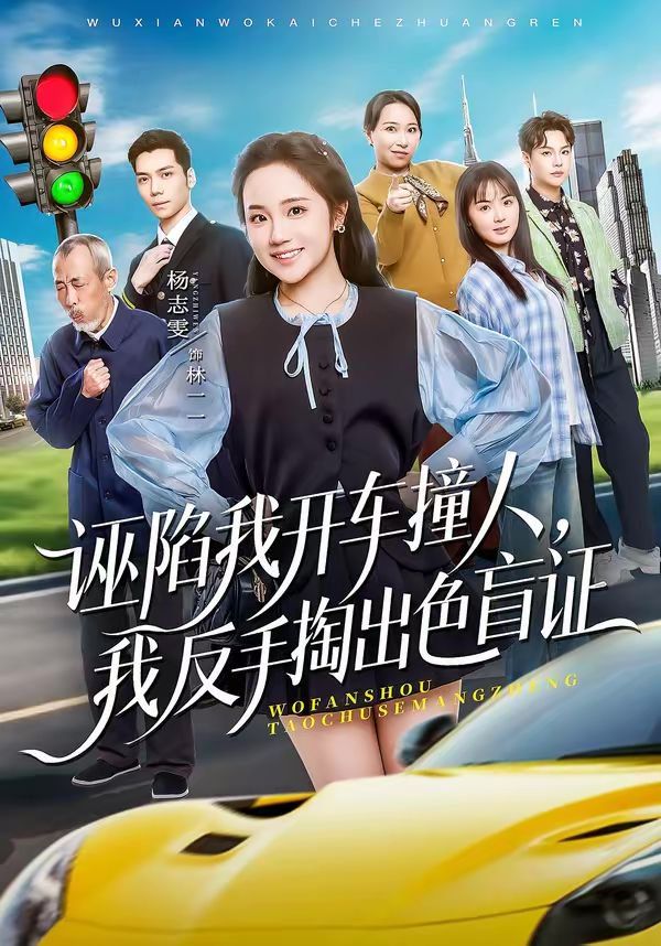 誣陷我開車撞人，我反手掏出色盲(全集)