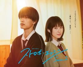 閃爍的愛情 第二季