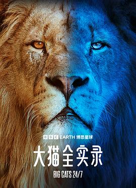 大貓全實錄(全集)