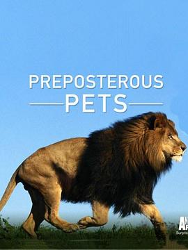 寵物妙翻天第一季(全集)