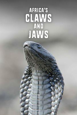 非洲動物的致命武器第一季(全集)